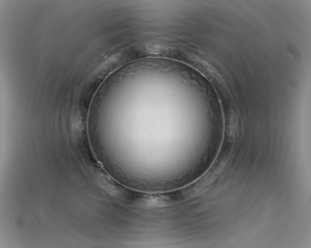 X0000115730569200911121514