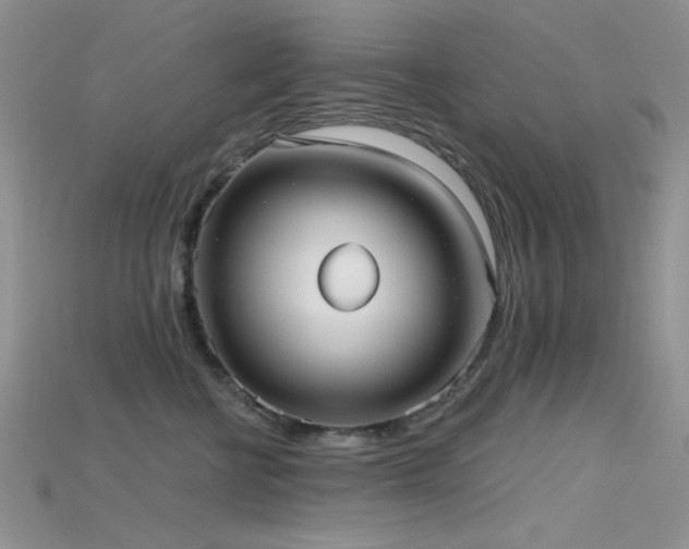 X0000115730570200911121514
