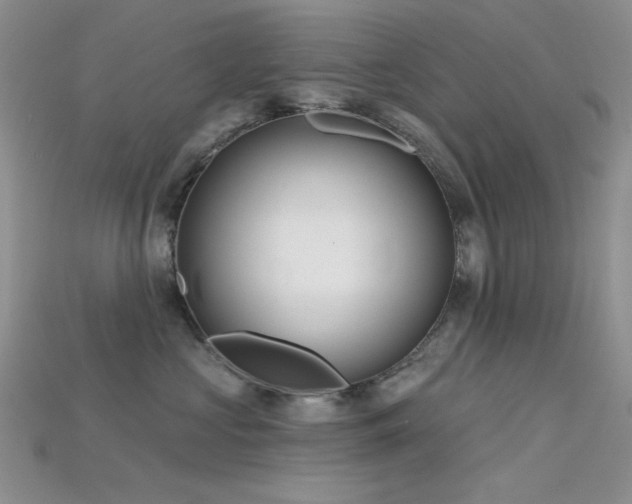 X0000115730573200911121514