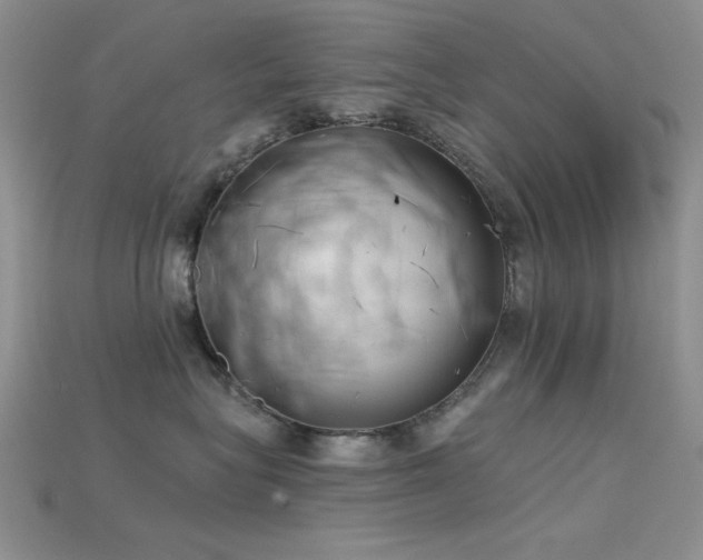 X0000115730575200911121514