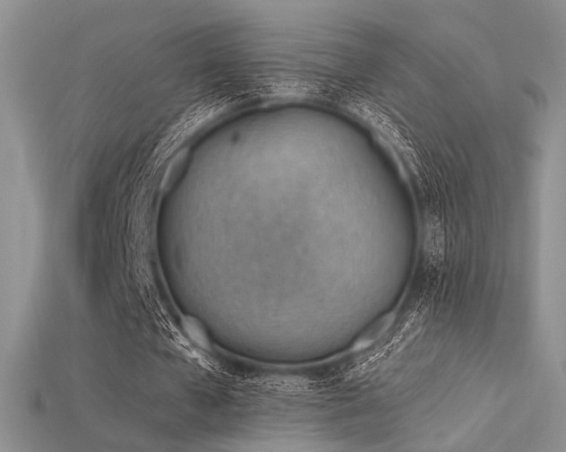 X0000115730577200911121514