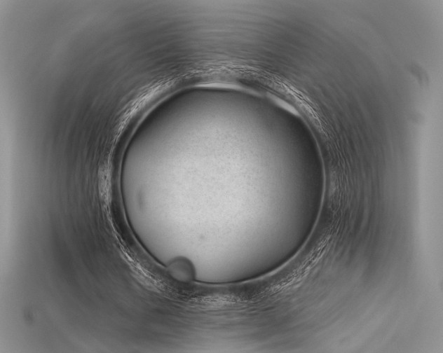 X0000115730578200911121514