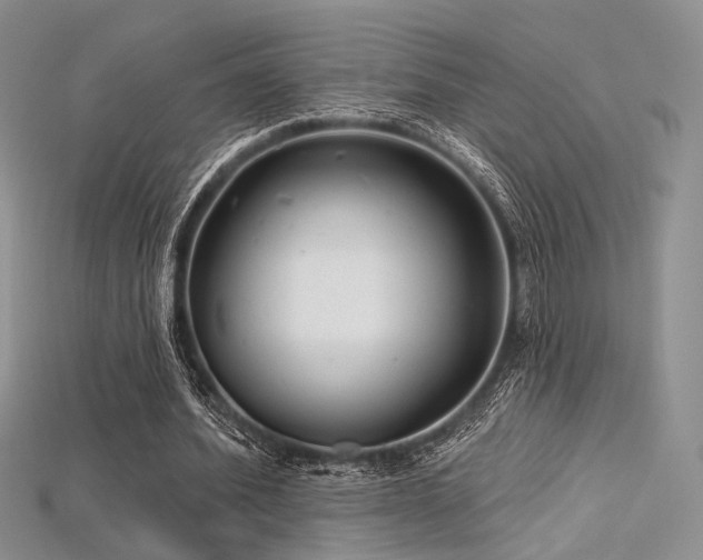 X0000115730580200911121514