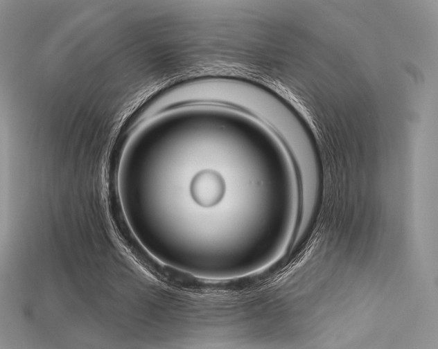 X0000115730581200911121514
