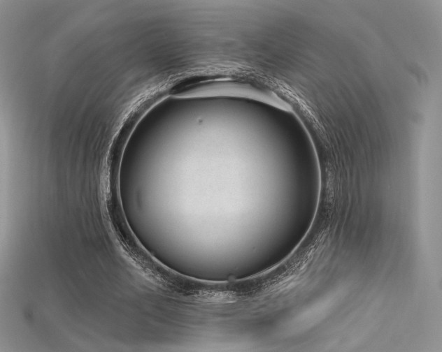 X0000115730582200911121514