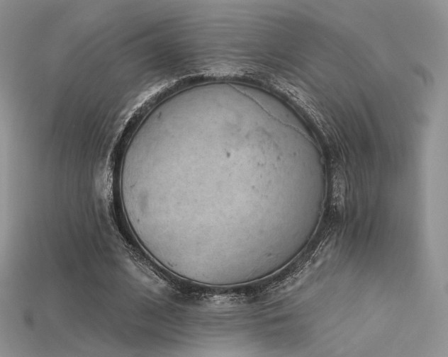 X0000115730584200911121513