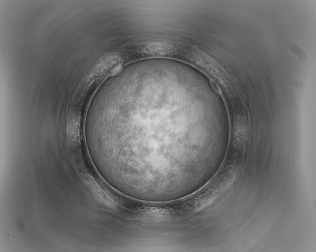 X0000115730585200911121513