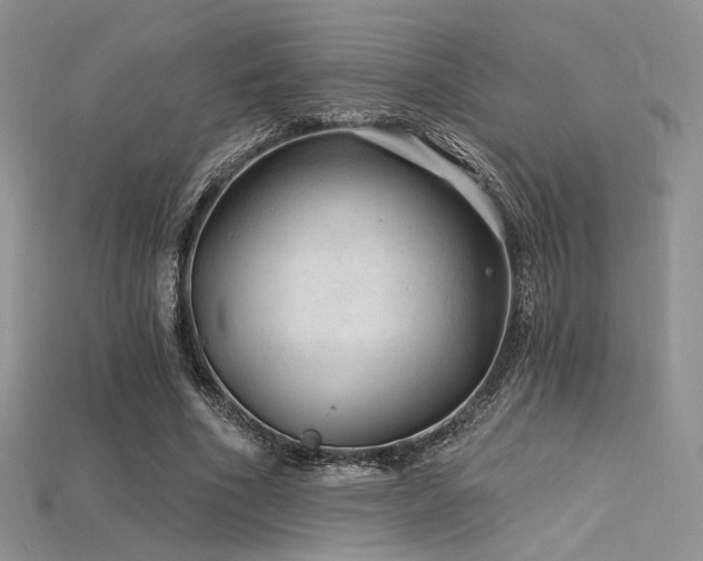 X0000115730586200911121513