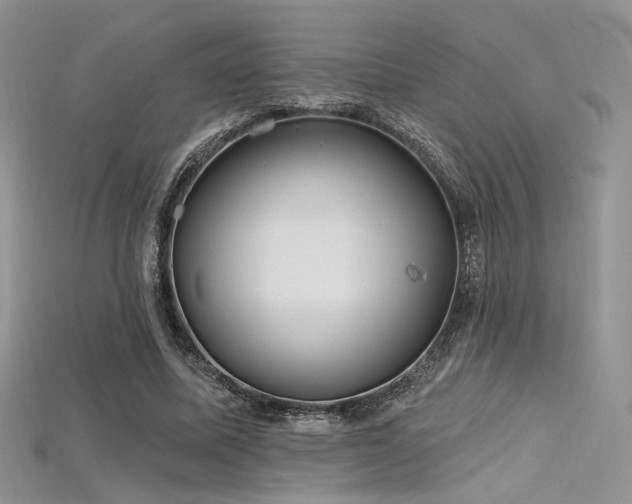 X0000115730587200911121513