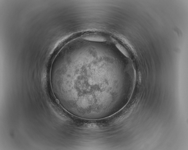 X0000115730588200911121513