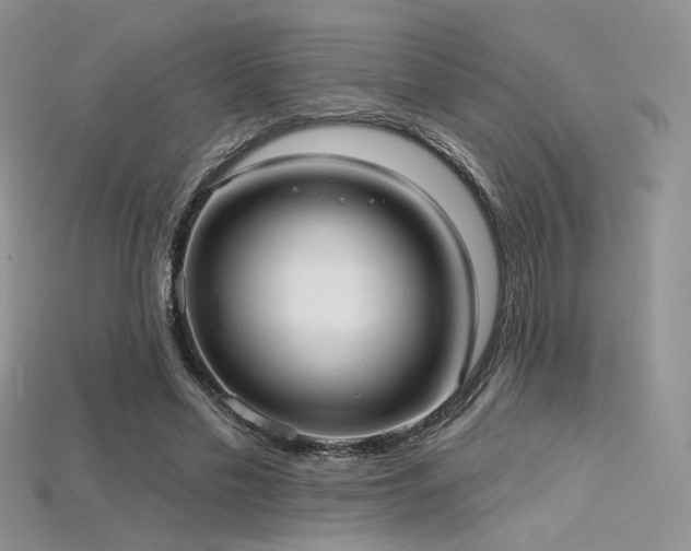 X0000115730589200911121513