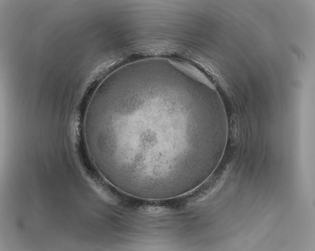 X0000115730590200911121513