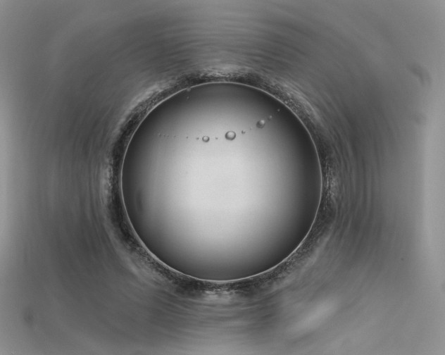 X0000115730591200911121513