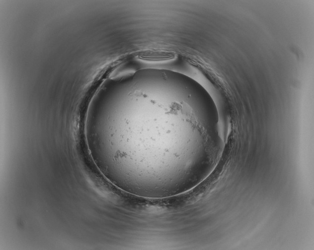X0000115730592200911121513