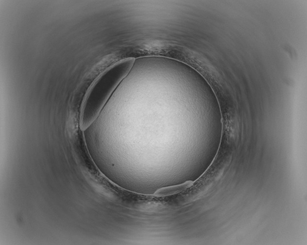 X0000115730593200911121513