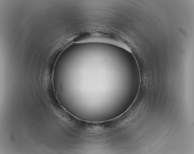 X0000115730594200911121513