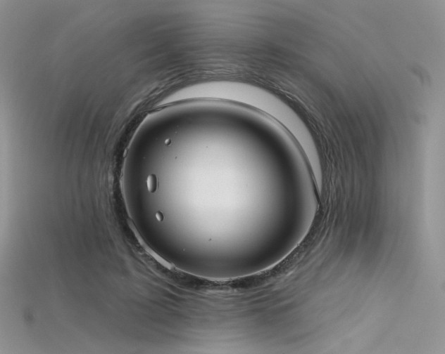 X0000115730595200911121513