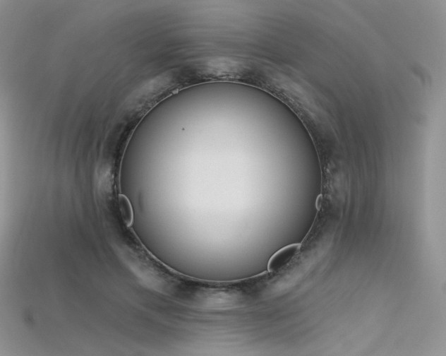 X0000115730597200911121513