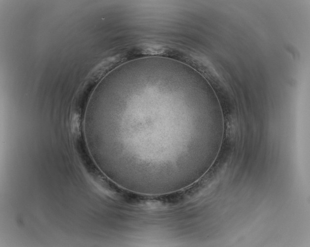 X0000115730598200911121513
