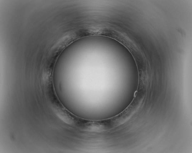 X0000115730601200911121513