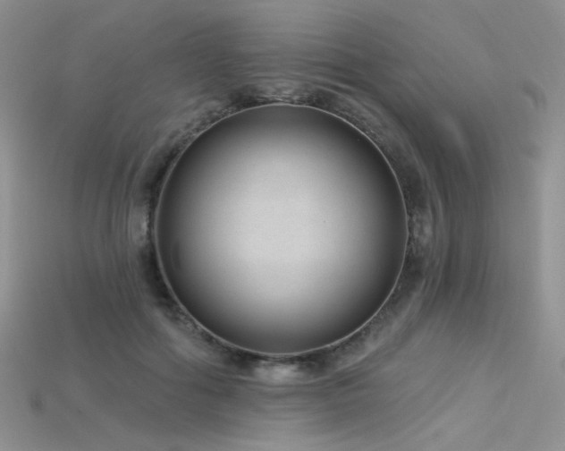 X0000115730602200911121513