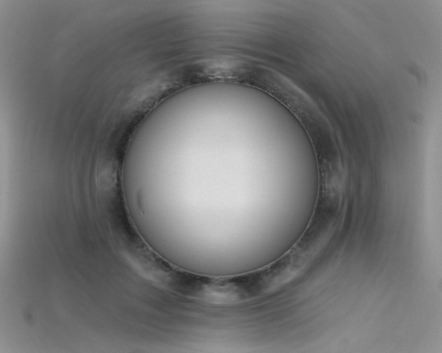 X0000115730603200911121513
