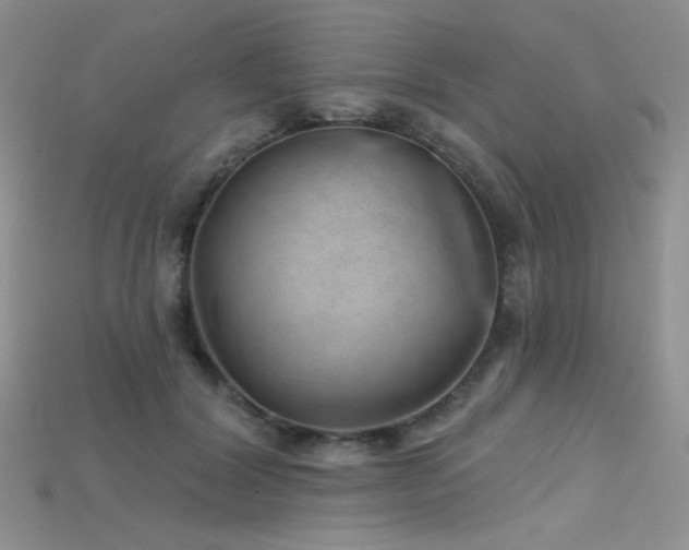 X0000115730604200911121513