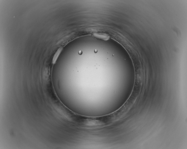 X0000115730605200911121513