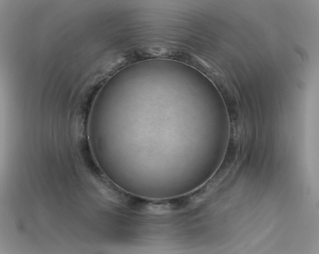 X0000115730606200911121513