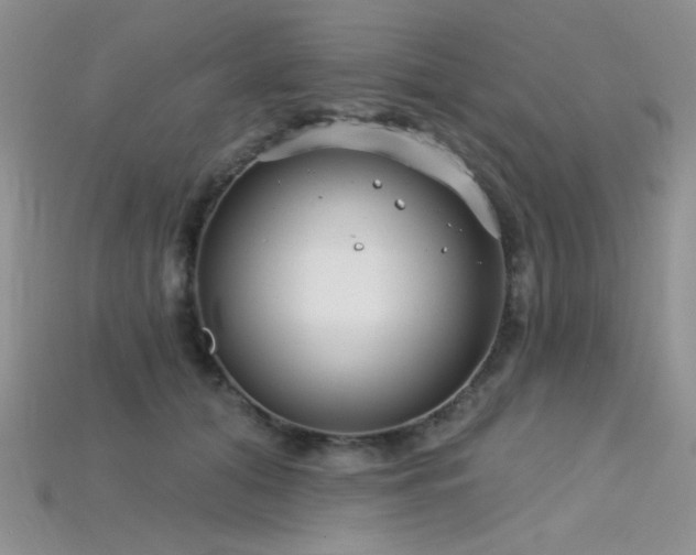 X0000115730608200911121513