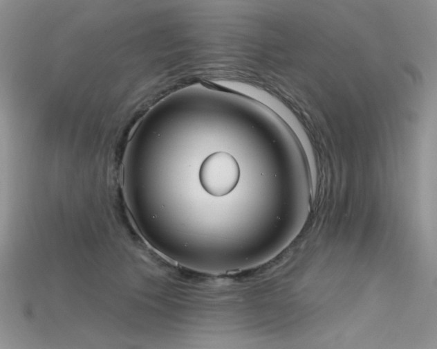 X0000115730609200911121513