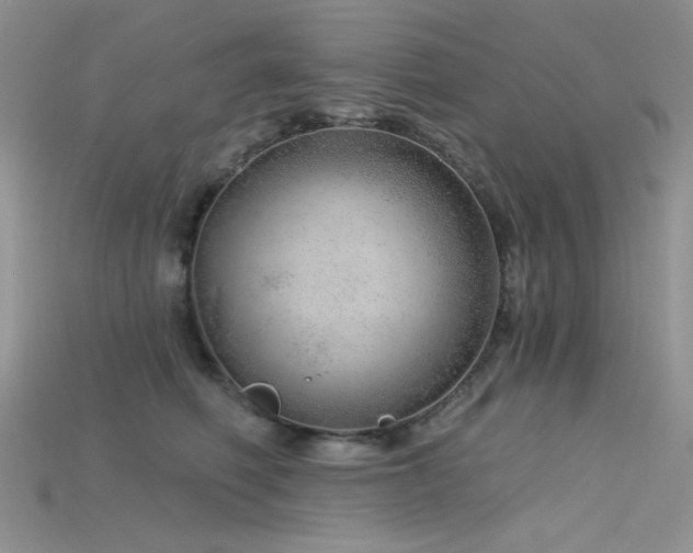 X0000115730614200911121513