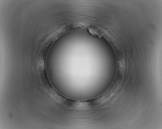 X0000115730617200911121513