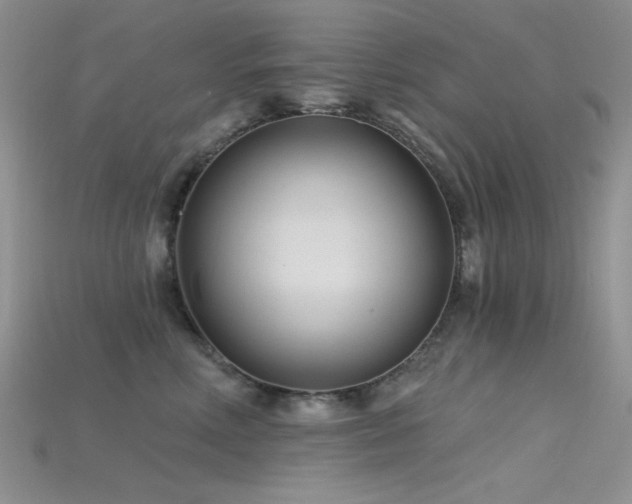 X0000115730618200911121513