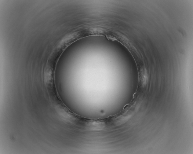 X0000115730619200911121513