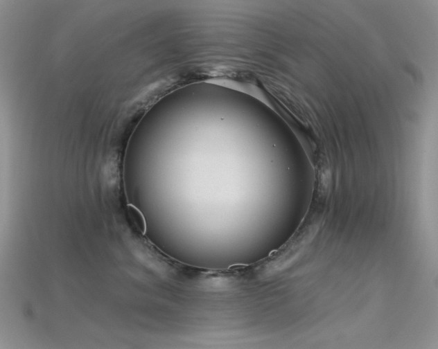 X0000115730620200911121513