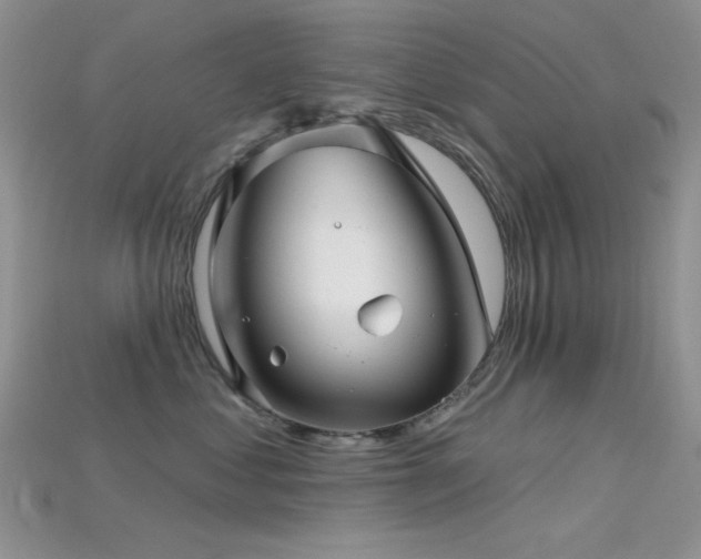X0000115730621200911121513