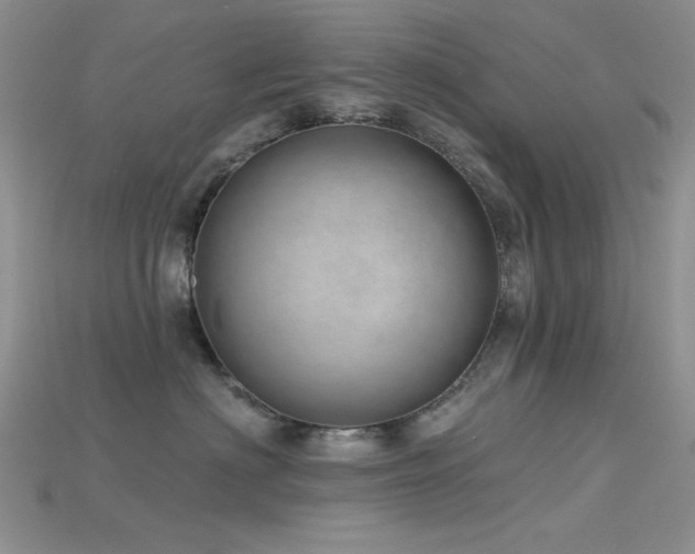 X0000115730622200911121513