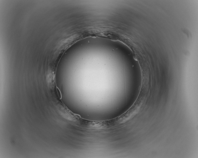X0000115730624200911121513