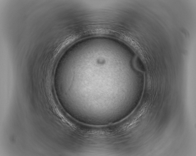 X0000115730625200911121512