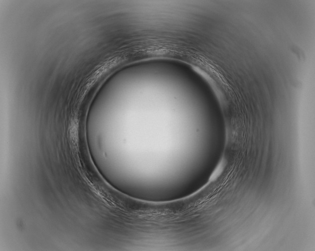 X0000115730626200911121512