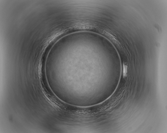 X0000115730627200911121512