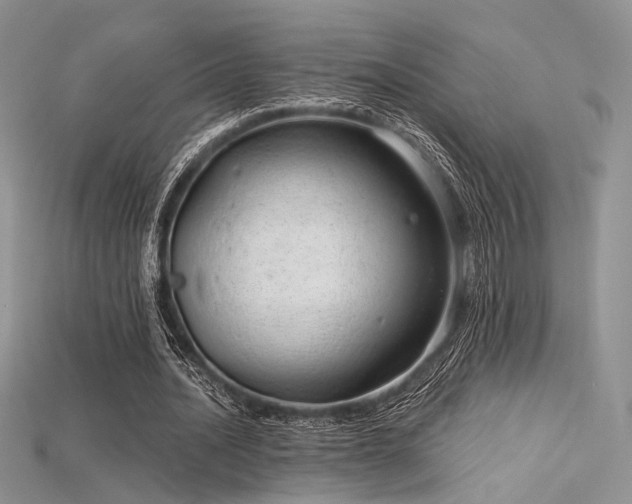 X0000115730628200911121512