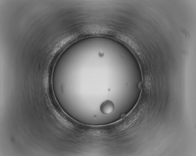 X0000115730629200911121512