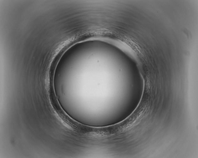 X0000115730630200911121512