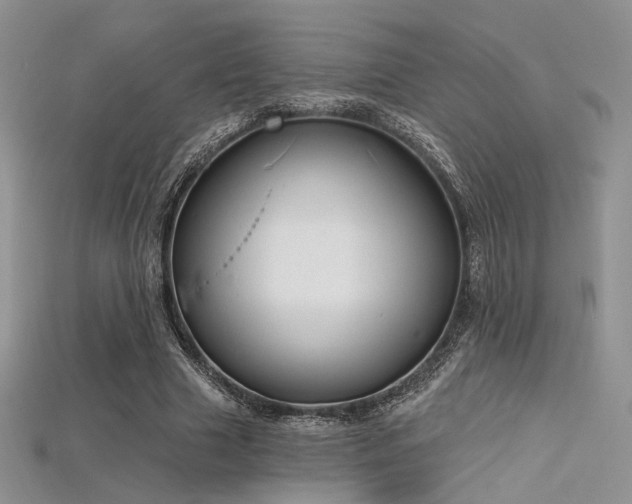 X0000115730633200911121512