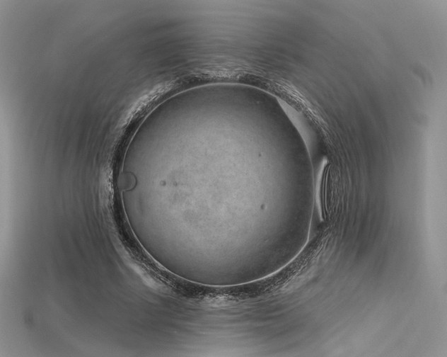X0000115730634200911121512