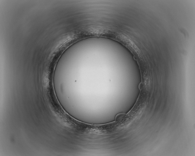 X0000115730635200911121512