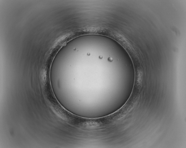 X0000115730636200911121512