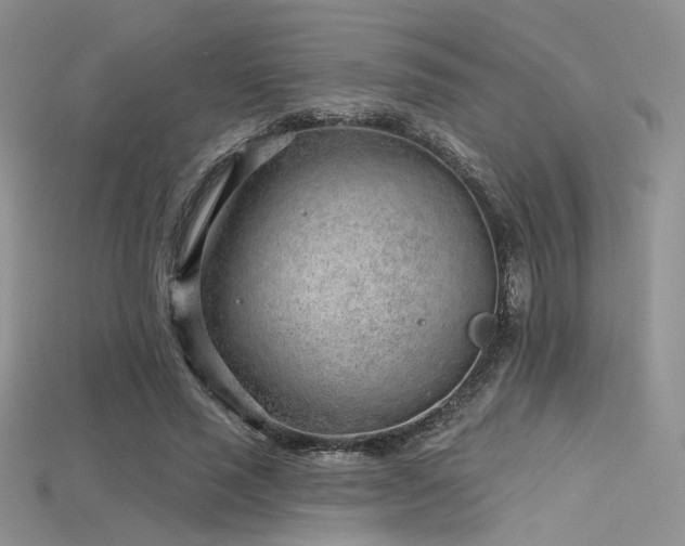 X0000115730637200911121512